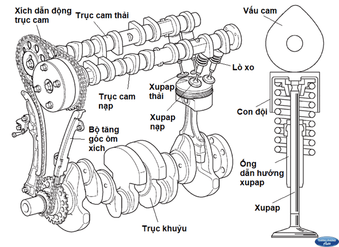 The rotation speed of the camshaft is half that of the crankshaft