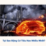 tại sao động cơ tiêu hao nhớt