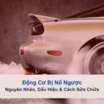 nổ ngược động cơ ô tô