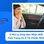 - 6 Mùi Lạ Giúp Bạn Nhận Biết Tình Trạng Xe Ô Tô Chuẩn Nhất