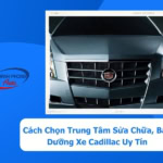 - Cách Chọn Trung Tâm Sửa Chữa, Bảo Dưỡng Xe Cadillac Uy Tín