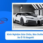 - Kinh Nghiệm Sửa Chữa, Bảo Dưỡng Xe Ô Tô Bugatti