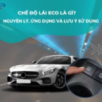 chế độ lái eco