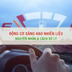 động cơ xăng hao nhiên liệu